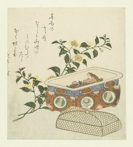 Sapo e Spray de Kerria Japonica de Chôtei Hisazumi