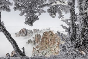 Picos de inverno envoltos em neblina