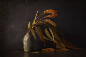  de Cicek Kiral