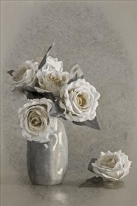  de Cicek Kiral