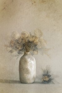  de Cicek Kiral