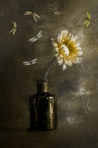  de Cicek Kiral