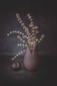  de Cicek Kiral