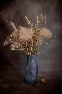  de Cicek Kiral