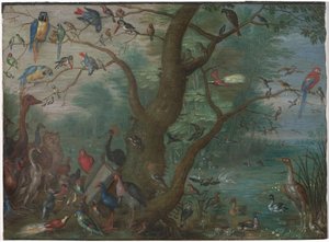 Concerto de pássaros de Circle of Jan van Kessel the Elder