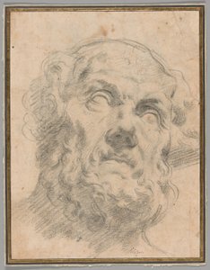 Cabeça de um velho, possivelmente Sêneca de Circle of Peter Paul Rubens