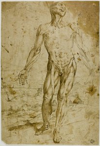 Écorché antes de Paisagem (anverso); Esboços de Nu Masculino em Pé, Criança Sentada, Mulher Inclinada (verso) de Circle of Titian