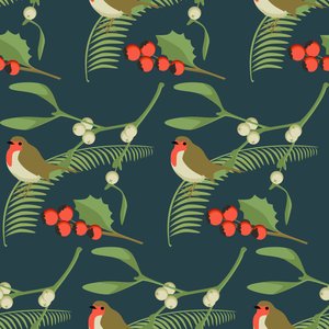 Robin de Natal