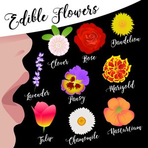 Flores comestíveis de Claire Huntley