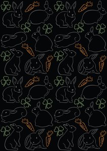Coelhinhos da noite de Claire Huntley