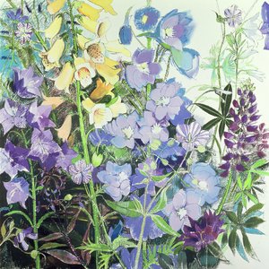 Delphiniums e Foxgloves