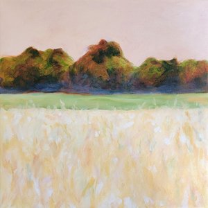 Horizonte do Campo Pastel