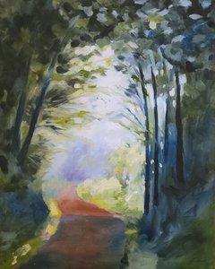 Caminho na floresta banhado pelo sol