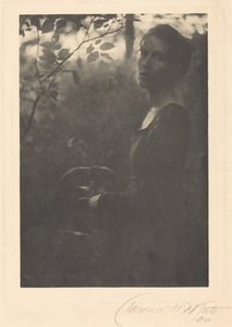 Borda do bosque, noite, 1900 (foto)