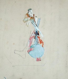 Sistema nervoso na cabeça de um gato, 25 de Maio de 1842 (lápis e aguarela sobre papel) de Claude Bernard