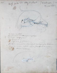 Sistema nervoso na cabeça de um gato, maio de 1842 (lápis sobre papel) de Claude Bernard
