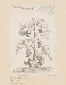 Viticultura de Claude Mellan