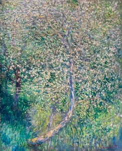 Macieiras em floração à beira da água de Claude Monet