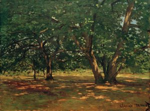 Floresta de Fontainebleau