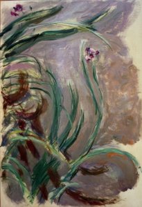 Íris (íris) de Claude Monet