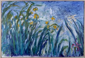 Íris de Claude Monet
