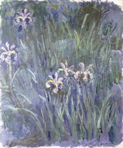 Íris, c.1914-1917 de Claude Monet