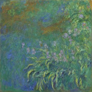 Íris, 191417. de Claude Monet