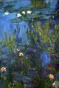 Nympheas, 1914-17 de Claude Monet