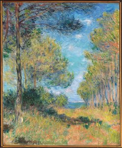 Caminho de pinheiro em Varengeville; Allee de sapins Varengeville, 1882 de Claude Monet
