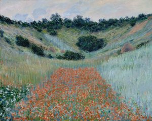 Campo de papoulas em uma cavidade perto de Giverny