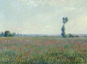 Campo de papoulas, 1881 de Claude Monet