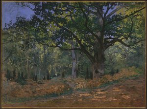 O carvalho de Bodmer, floresta de Fontainebleau, 1865 de Claude Monet