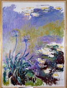 O agapanto de Claude Monet