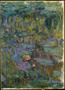 Lírios de Claude Monet