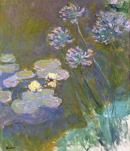 Nenúfares e Agapanthus de Claude Monet