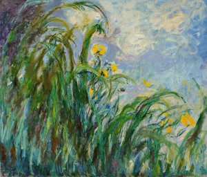Íris amarelas, c. 1925 de Claude Monet