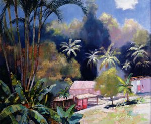 Floresta Tropical, Martinica