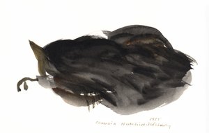 Gato Adormecido, 1985 (aguarela) de Claudia Hutchins Puechavy