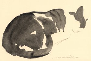 Gato dormindo, 1984 (aquarela) de Claudia Hutchins Puechavy