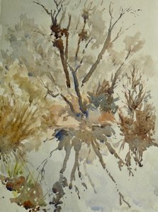 Perna de carneiro, Eton, 2010 (aguarela)