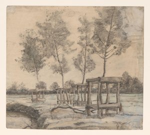 Prado com árvores de Coba Steenhoff