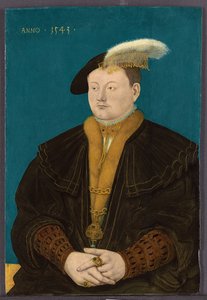 Retrato de Friedrich Magnus I de Solms-Laubach, 1543 de Conrad Faber