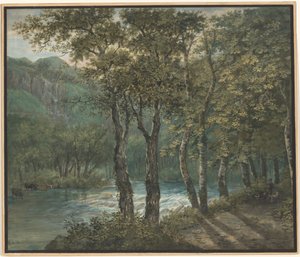 Filtro de luz solar através das árvores ao longo do rio Sihl