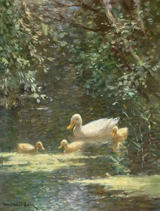 Pato Mãe com Patinhos na Água (óleo sobre tela)e