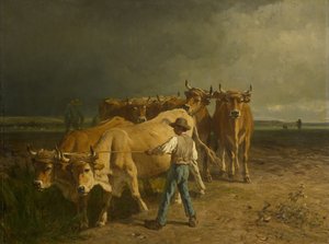 Arados de bois, 1860