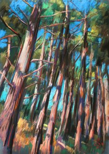 Luz salpicada na floresta de Corné Akkers