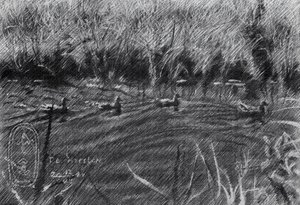Patos nos juncos de Corné Akkers
