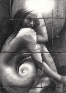 O Enigmático Olhar Espiral de Corné Akkers
