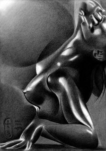 Estudo de uma figura sensual de Corné Akkers