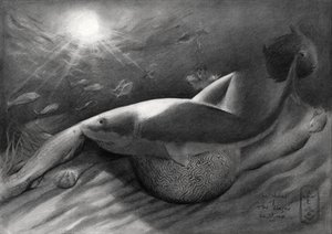 Tubarão e Sereia de Corné Akkers